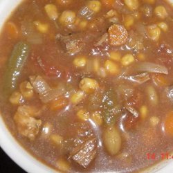 Vegetable Soup in the Crock-Pot