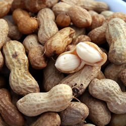 Boiled Peanuts recipe