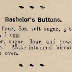 Bachelor Buttons II recipe