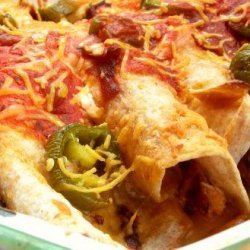 Ww Chicken Enchiladas recipe