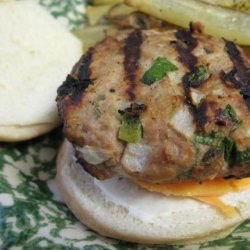 Salsa Chicken Burgers recipe