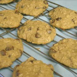 Chewy Oatmeal Chocolate Chip Cookies recipe