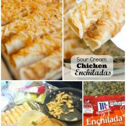 Sour Cream Chicken Enchiladas recipe