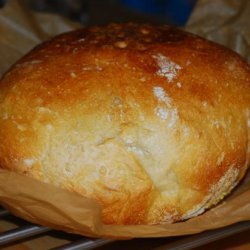Duonyte's No-Knead Sourdough Bread recipe