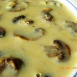 10 Minute Cream of Mushroom Soup recipe