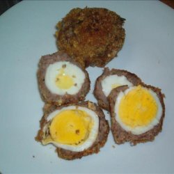 Scottish Eggs recipe