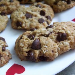 Oatmeal coconut chocolate chip cookies recipe