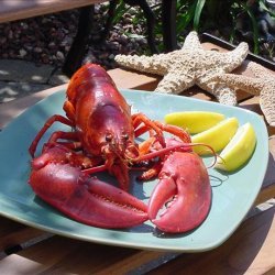 Grilled Lobster recipe