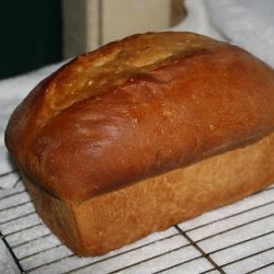 American Sandwich Bread recipe