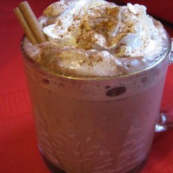 Snow-Capped Cinnamon Hot Cocoa recipe