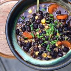 Black Bean Vegetable Soup recipe