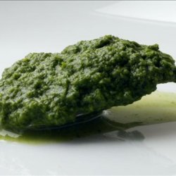 Green Chutney ( Indian Mint - Cilantro Chutney ) recipe