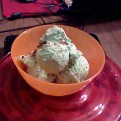 Homemade Mint Chocolate Chip Ice Cream recipe