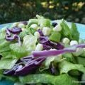 Asian Inspired Salad recipe