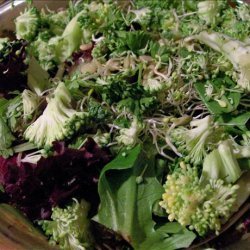 More Green Than Usual Salad recipe