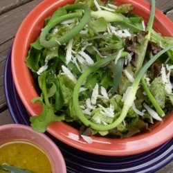 Butter Lettuce and Herb Salad recipe