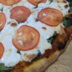 New York-Style Pizza Dough recipe