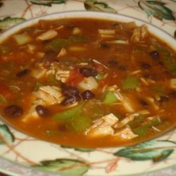 Savory Southwestern Soup-South Beach Friendly! recipe