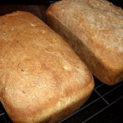 Sprouted Wheat Berry Bread recipe