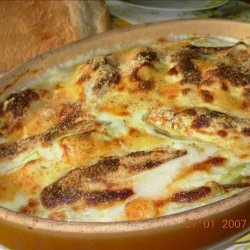 Chicory/Witlof  With Gruyere and Ham recipe