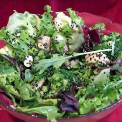 Oriental Chicken Salad recipe
