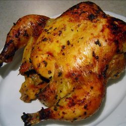 Berber Chicken recipe
