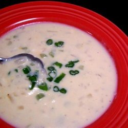 Double Cheese Soup recipe