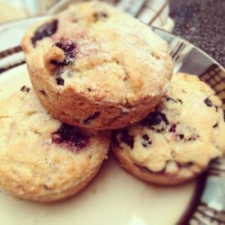 Saskatoon Berry Muffins recipe