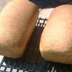 Rebecca's Jewish Rye Bread recipe