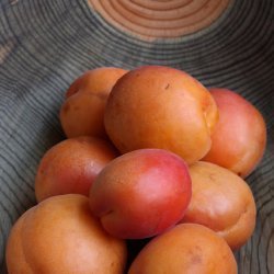 Apricot Explosions recipe