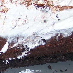 Mississippi Mud Cake recipe