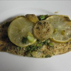 Cilantro Lime Fish recipe