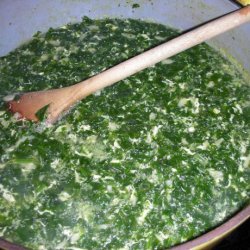 Easy Stracciatella Italian Soup recipe