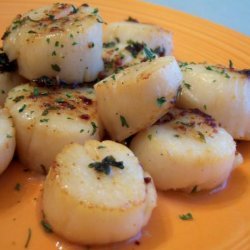 Coquilles St Jacques a La Provencale - Scallops With Garlic recipe