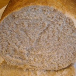 Applesauce Bread for Abm recipe