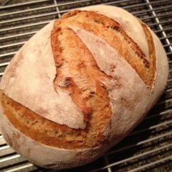 Harry's Whole Grain No Knead Dutch Oven Bread recipe