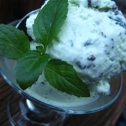 Homemade Mint Chocolate Chip Ice Cream recipe