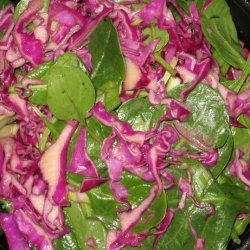 SPINACH & RED CABBAGE SALAD with ORANGE DRESSING recipe