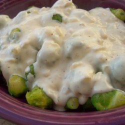 Brussels Sprouts With Sour Cream Sauce recipe
