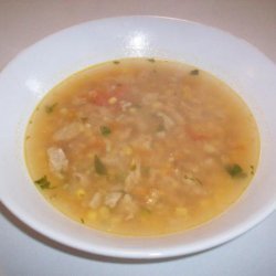 Spicy Hearty Mexican Ground Turkey Soup recipe