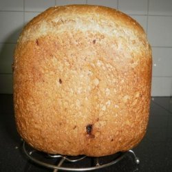 Walnut Beer Bread (Abm) recipe