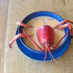 Maine Lobster Stew recipe