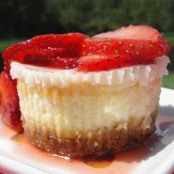 Sour Cream Cheesecake Cupcakes recipe