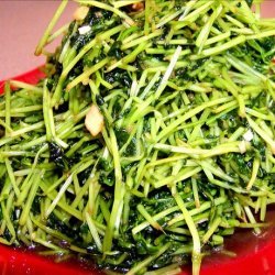 Pea Shoots (Stir-Fried Pea Shoots -- Chow Dau Miu) recipe