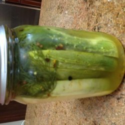 Claussen-Like Refrigerator Pickles recipe