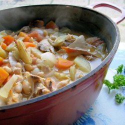 Tasty Chicken & Fennel Soup in a Crock Pot recipe