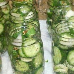 Small-Batch Refrigerator Dill Pickles recipe