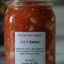 Barbara's Hot Salsa recipe