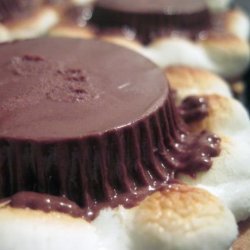 Smores With Reese's Cups recipe