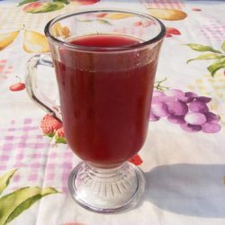Ponche - Chilean Cranberry Punch recipe